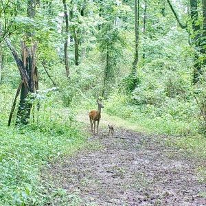 Taking the road less traveled